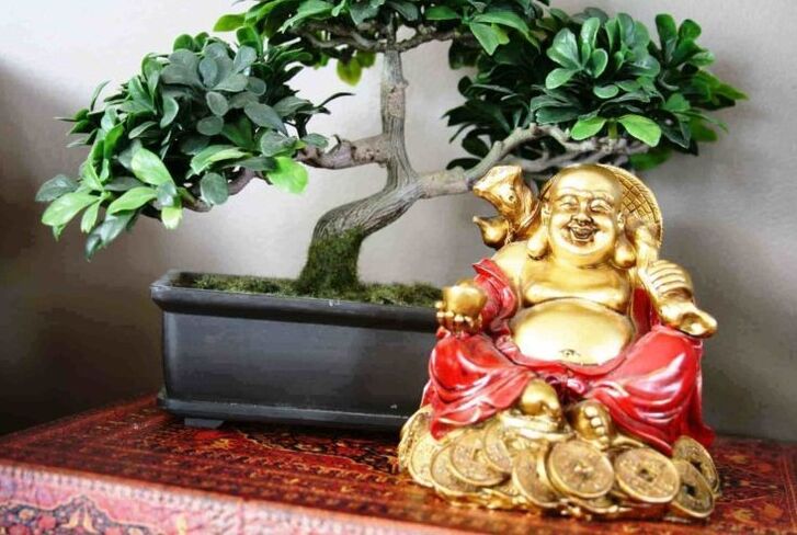 根据风水，家庭幸福和繁荣