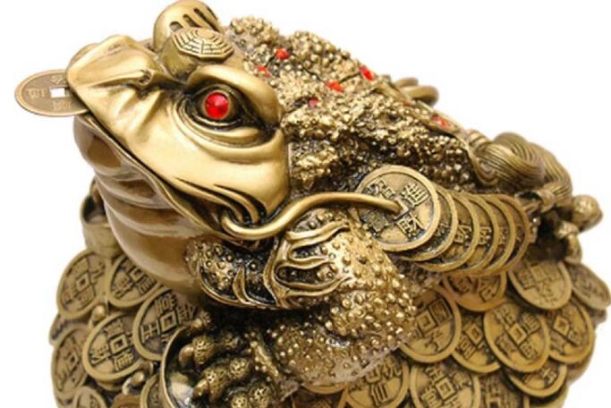 金钱蟾蜍