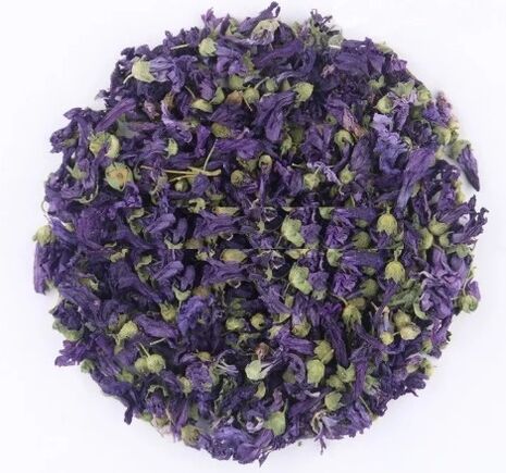 干紫罗兰花